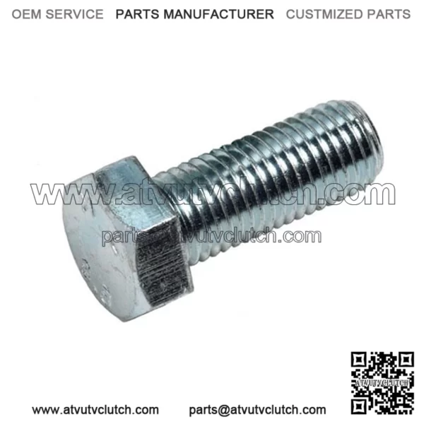 OEM Screw M10 X 25