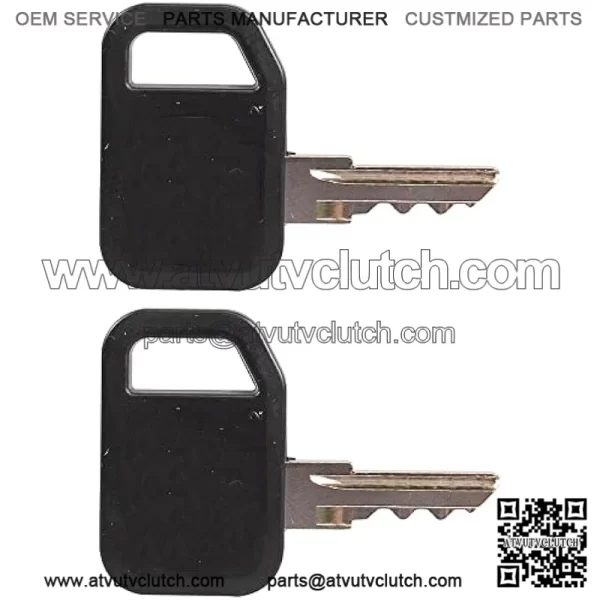 Key, Padded Ignition (2 Keys) Am131841